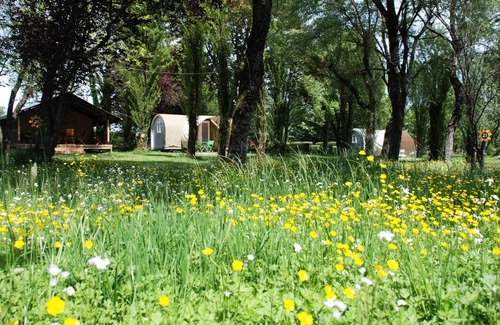 Le Grez Casa | Sunflowers Campsite *** - Canvas Bungalow READY TO CAMP 3 Rooms 4 People Without Sanitary