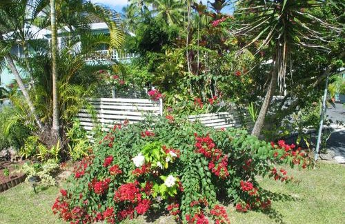 Arorangi Complejo | Sunhaven Beach Bungalows