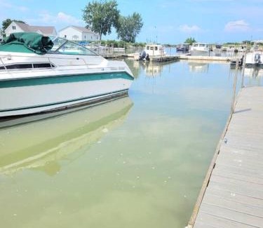 Oak Harbor Apartamento | Sunnie Days condo in Oak Harbor on Lake Erie!
