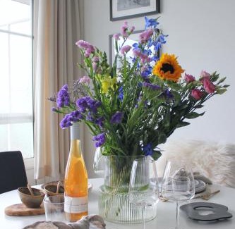 South Antwerp Apartamento | Sunny Apartment - Zuid Retreat 1BR Apartment near Scheldt River