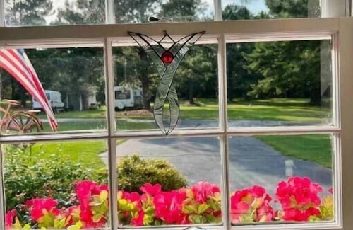 Aiken Apartamento | Sunny at 135 is a wonderful place to