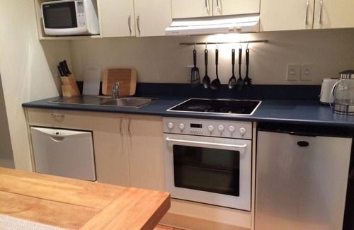 Te Aro Apartamento | Sunny Central Large CBD Apartment (v13)
