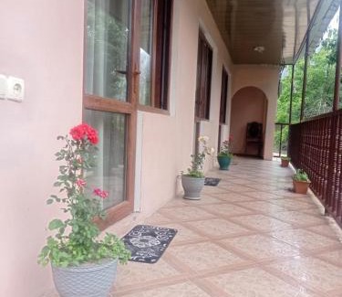 Bagvdanari Casa | Sunny