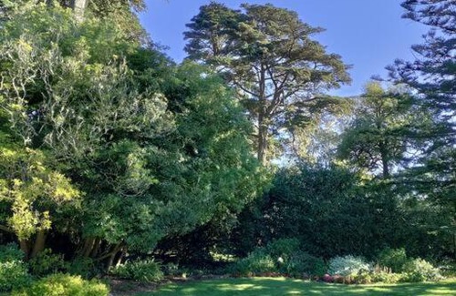Central Richmond Apartamento | Sunny SF home, quiet, convenient w/parking