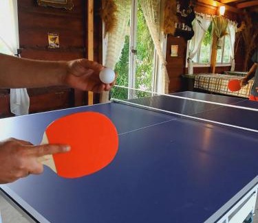 Petrovaradin Casa | Sunny Side Fruska Gora - veliko imanje sa kucom za odmor