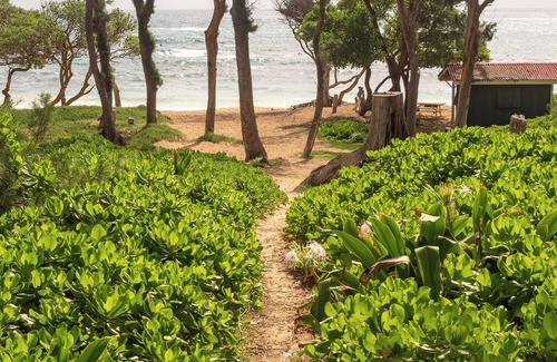 Laie Casa | Sunrise Escape in Kahuku: Two-min drive to beaches