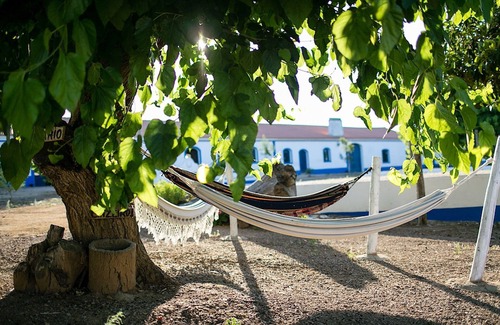 Sousel Casa | Sunset Orange Villa, Wifi, Terraza, Piscina