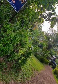 Seeduwa - Katunayake Casa | Sunset Villa