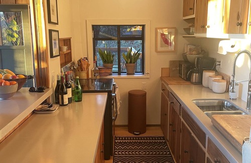 Idyllwild Cabina | Sunset64 Mid-Century Modern Cabin
