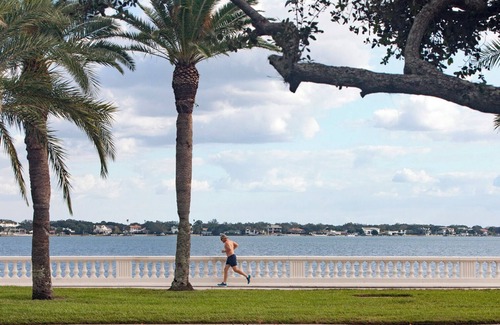 Ballast Point Casa | Sunshine House - 3 bed, 2 bath. Steps to Bayshore
