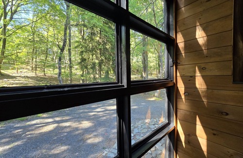 Lake Harmony Estates Cabina | Sunshine / S’mores / Fire Pit / BBQ / Games