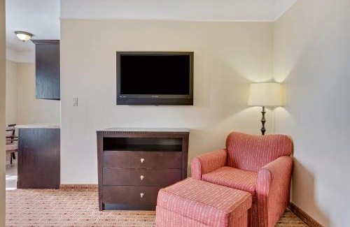 Hidalgo Hotel | Super 8 by Wyndham Hidalgo at La Plaza Mall & Mcallen Airport
