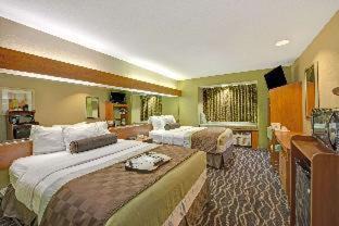 San Antonio Hotel | Super 8 by Wyndham San Antonio Downtown NE