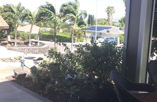 Waikoloa Apartamento | SUPER ESPACIO! Entrada de privacidad. Cómodo y acogedor. ¡Callado y pacífico!