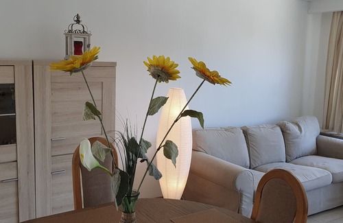 Deurne Apartamento | Superb Appartment in Antwerpen
