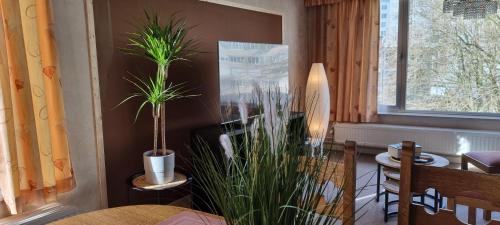 Antwerp Apartamento | SUPERB FLAT WITH 3 BEDROOMS PARKING AND BALCONy