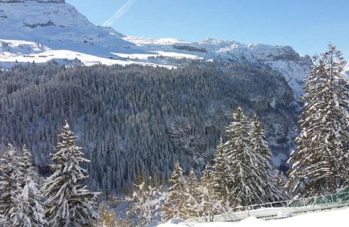Flaine Apartamento | Superbe 2 pièces+cabine rénové avec balcon - 4 pers, Flaine Forêt - FR-1-425-191