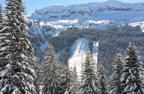 Flaine Apartamento | Superbe 2 pièces+cabine rénové avec balcon - 4 pers, Flaine Forêt - FR-1-425-191