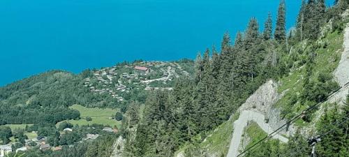 Thollon-les-Memises Chalet De Esquí | superbe chalet en montagne vue Lac Léman