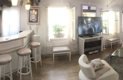 Quartier de la Monnaie Apartamento | Superbe Loft St Germain Des. Pres