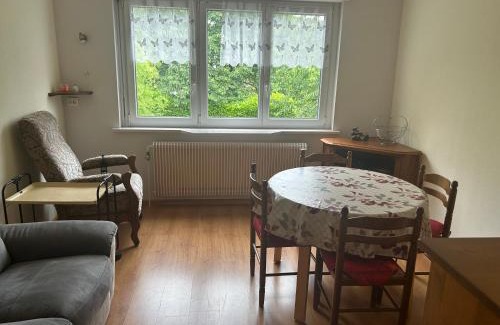 Altkirch Casa | Superbe maison 3 chambres 1 étage et sous-sol, avec jardin et terrasse