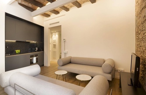 El Born Apartamento | Apartamento Deluxe Superior de una habitación