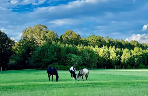 Jackson Cabaña | Superstar Cottage near St. Francisville, LA at Southern Cross Bucks Preserve