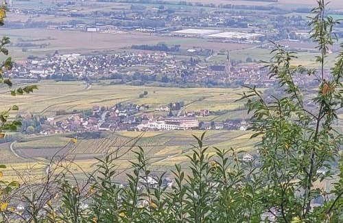 Rorschwihr Casa | Sur la Route du Vin