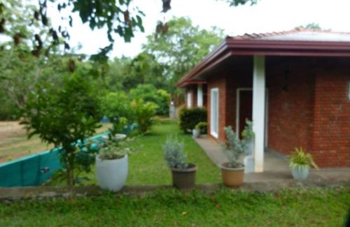 Habarana Chalet De Esquí | Suriya Cottage Family Resort