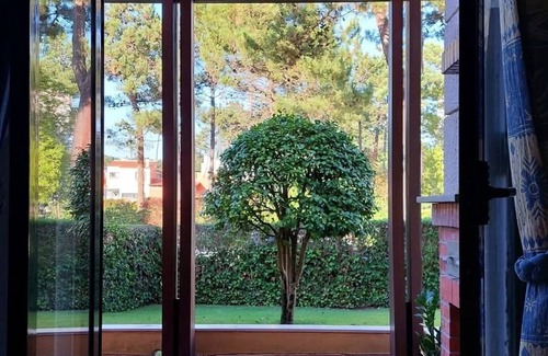 Mira Apartamento | Surrounded by nature, close to the beach, you'll find a relaxing atmosphere here.