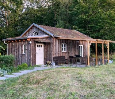 Kivik Casa | Sustainable Cabin In Beech Forest At Mellby Käsk