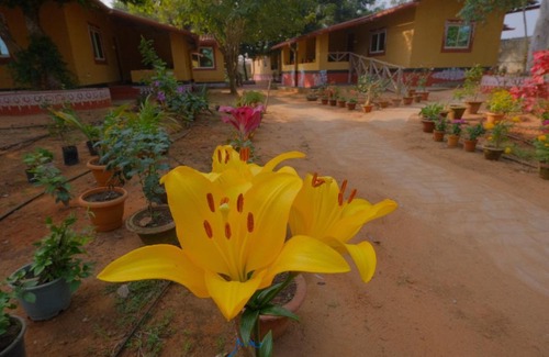 Bhubaneshwar Casa | Svanir Wilderness Homestay, Bhubaneswar
