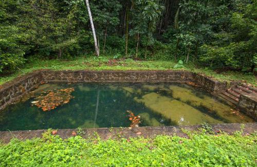 Kanjirappally Casa | Swasthi Serviced Villa