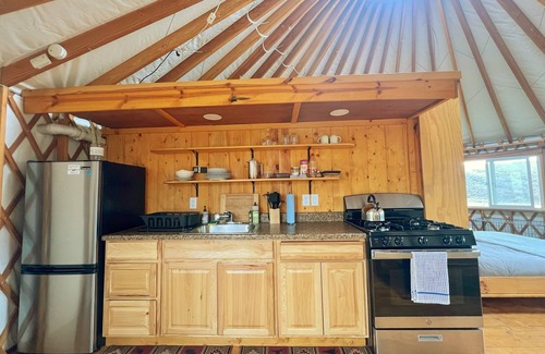 Villa Grove Casa | "Sweet Clover" - Yurts at Poncha Pass. A dark sky place to see the Milky-way.