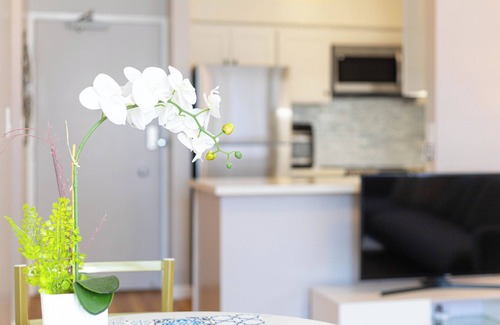 Ala Moana Apartamento | Sweet & Cozy in Honolulu Free WIFI & AC