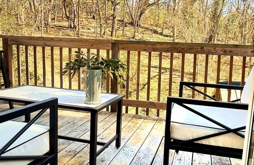 Staunton Casa | Sweet Darling House: Enchanting historic home; walkable to downtown