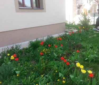 Arandelovac Apartamento | Sweet Dreams Apartment