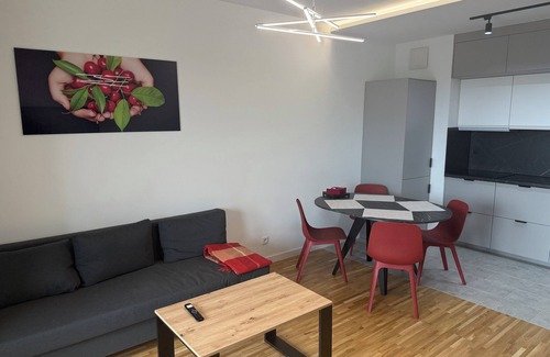 Lodz Apartamento | Sweet Harmony- 2-bedroom apartment in fantastic Łódź with AC, WiFi