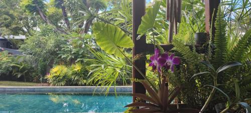 Grande Riviere Noire Apartamento | sweet island studio ocean