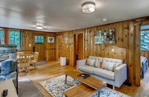 Idaho Springs Cabina | Sweet Pine Waterfront Pet Friendly Cabin