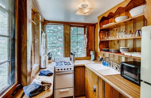 Idaho Springs Cabina | Sweet Pine Waterfront Pet Friendly Cabin