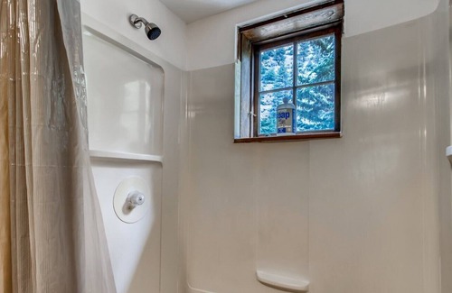 Idaho Springs Cabina | Sweet Pine Waterfront Pet Friendly Cabin