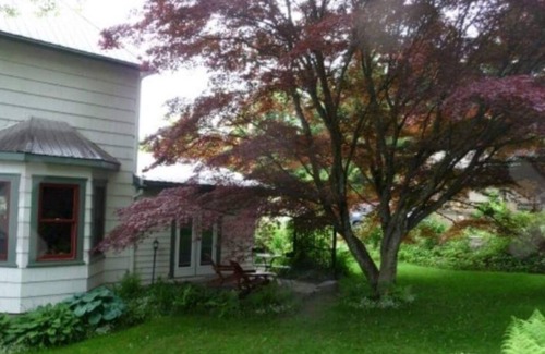 Nelson Apartamento | Sweet private studio just minutes from the downtown core.
