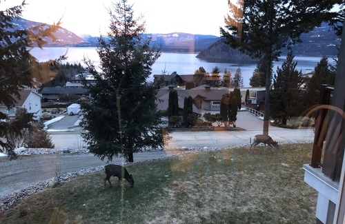 Blind Bay Casa | Sweet Suite Views: 1 Bedroom Suite/ Sweeping Lake View/ Nearby Beaches/Sunsets.