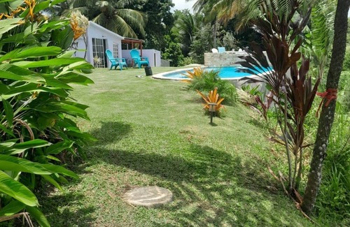 Tejas Apartamento | Swim & Paint Art Retreat/Adventures