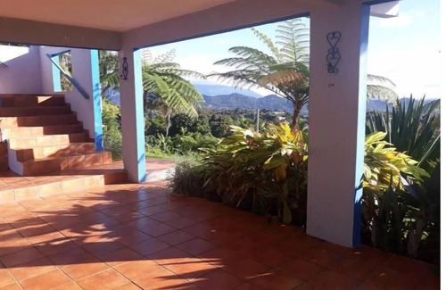 Tejas Apartamento | Swim & Paint Art Retreat/Adventures