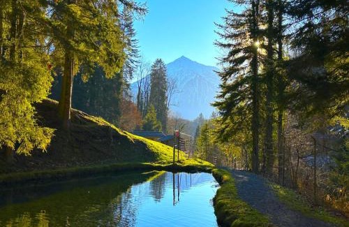 Sigriswil Casa | SwissHut Idyllic Farm Cabin - Chalet Grabenmuhle 2