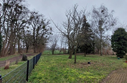 Reichenow-Moglin Casa | Switch off in a quiet location on the edge of the forest