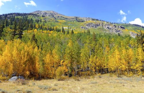 Idaho Springs Casa | Switchback Big Divide home