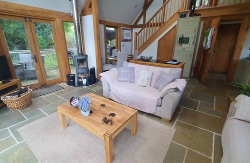 Battle Cabina | Swn Y Nant lodge with hot tub Brecon